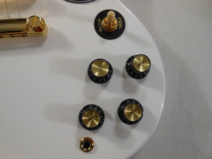 SG Custom Picture 15